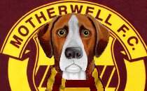 Motherwell News Hound
